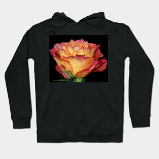 Orange Rose Hoodie